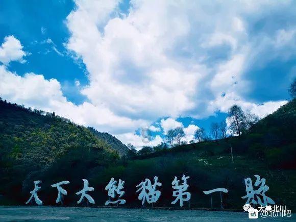 逃出郊外露营地