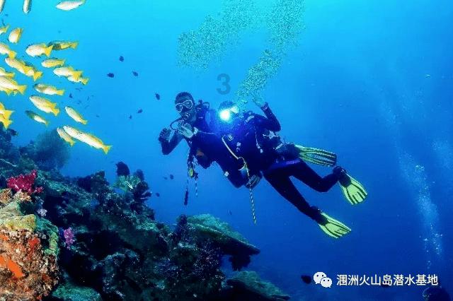 艾玛的时尚装