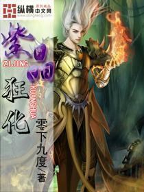 格斗巅峰大作战